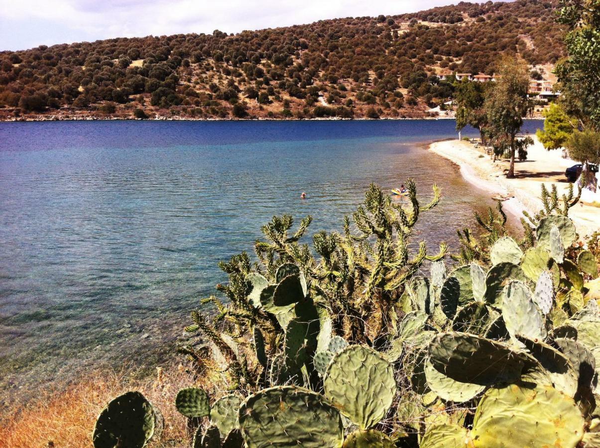Sea Front Studio - Porto Boufalo - Evia エクステリア 写真